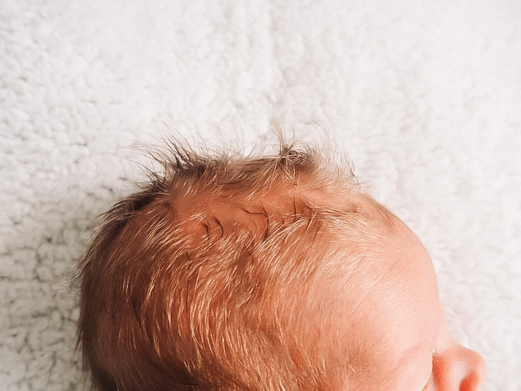 The Basic Newborn Portrait Collection