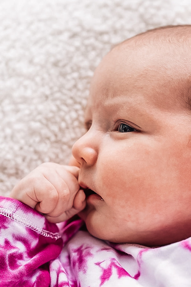 The Basic Newborn Portrait Collection