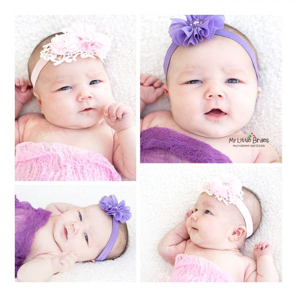 The Basic Newborn Portrait Collection - Sunday Moon Creative