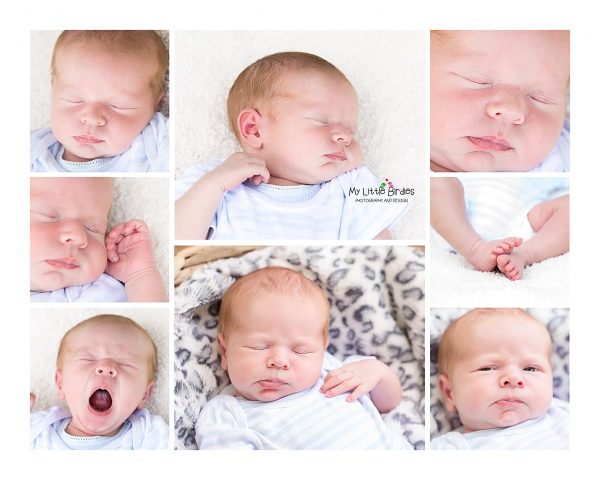 The Basic Newborn Portrait Collection - Sunday Moon Creative