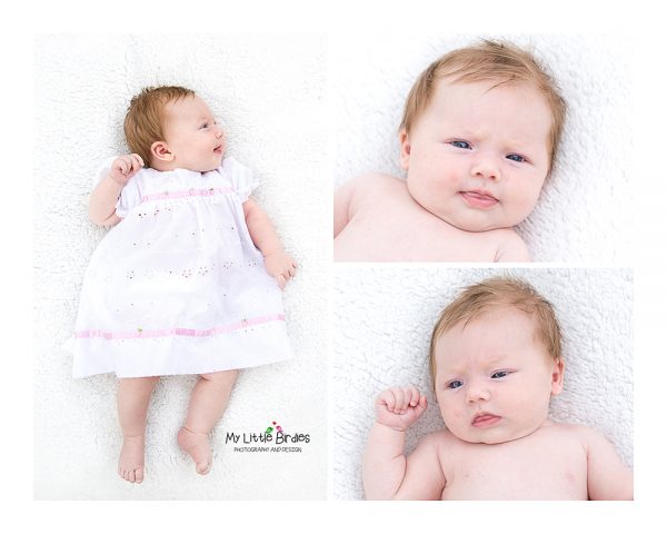 The Basic Newborn Portrait Collection - Sunday Moon Creative