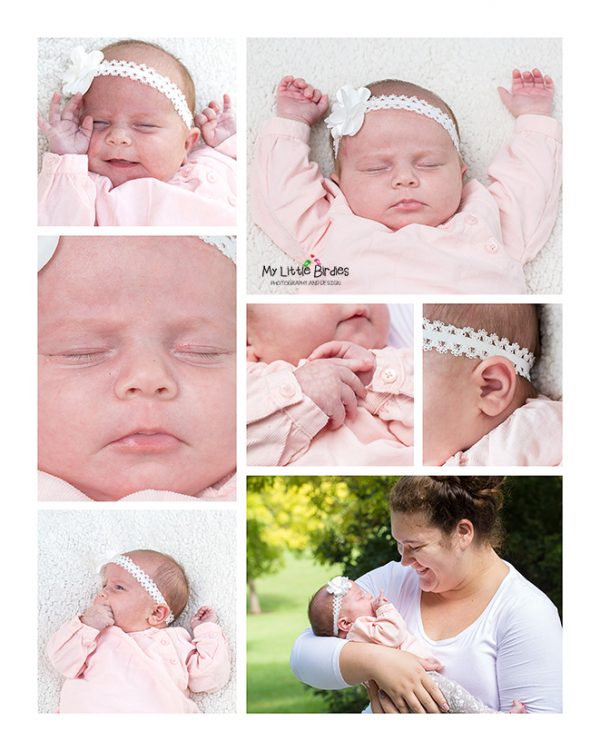 The Basic Newborn Portrait Collection - Sunday Moon Creative