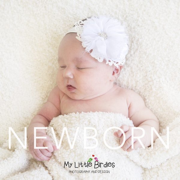 The Basic Newborn Portrait Collection - Sunday Moon Creative